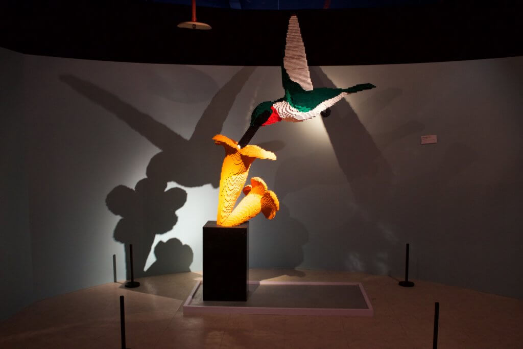 Hummingbird drinking from flower all built of Lego bricks