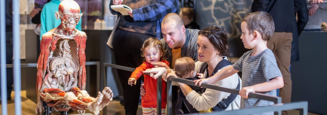 Parents with young kids examine a sitting body in the Bodies Revealed exhibit