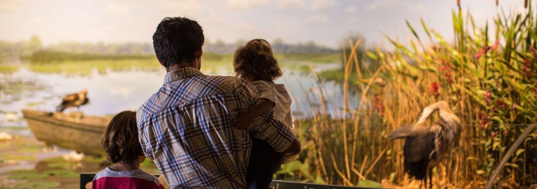 West Michigan Habitats Exhibit Dad with young kids look at marsh habitat in West Michigan Habitats exhibit