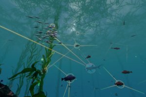 Habitat Earth planetarium Fish swimming connected by digital web